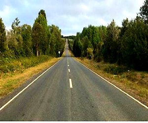 Parcela, Los Muermos