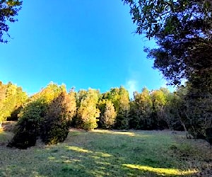 Parcela 0,5ha. a 30 km de valdivia