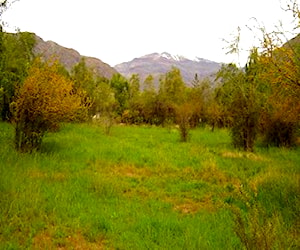 Parcela Camino Internacional Km. 24, San Esteban