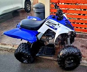 Yamaha Raptor 90cc