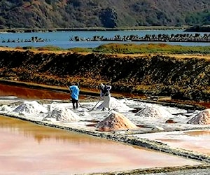 Parcela en Salinas de Barrancas, Pichilemu