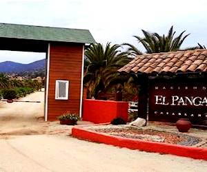 Agricola Hacienda el Pangal Casablanca