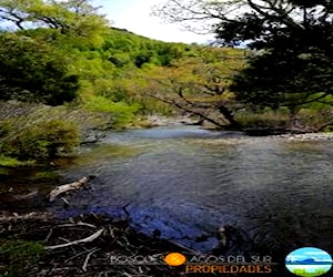 Curarrehue Pucón 1,97 hectareas con orilla de rio