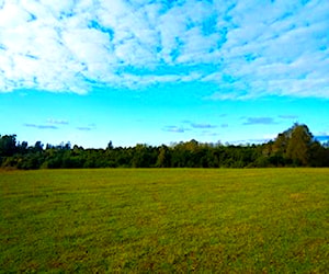 Parcela Parcelas Laguna Santa Rita Freire La