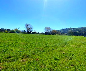 Agricola Se vende terreno en San Juan San An