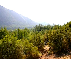 Chalet de montaña El Melocotón