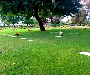 Cementerio parque el recuerdo