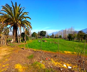 Terreno Agrícola Habitacional En Coltauco