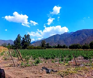 Hermosa parcela plana de 5.000 mt2, Águila Norte