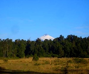 Parcelas en Villarrica 5.000 m2