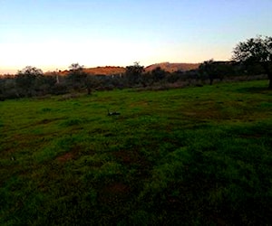 Parcela condominio tierra nativa Villa Alemana