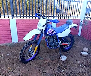 Yamaha ttr250