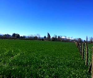 Gran Terreno con Derechos de Agua