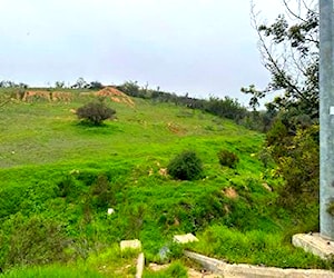 Terreno Construccion Los Arrayanes Autopista Tronc