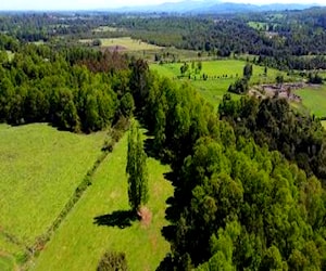 Precioso fundo cercano entre valdivia y lago ranco