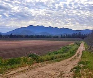 Parcelas María Pinto,Melipilla