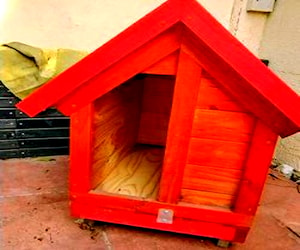 Casa pequeña de perro sin uso