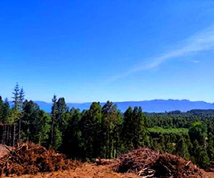 Parcela vista Lago Villarrica