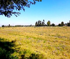 Terreno de 5000 metros cuadrados en Linares