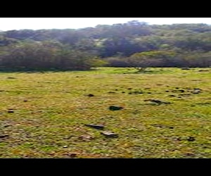 Terreno en Rauco Curicó