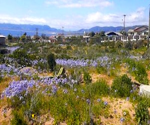  terreno Guanaqueros con vista al mar