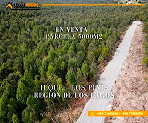Sitio Ilque Los pinis Ilque Los Lagos Calbuco