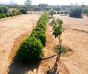 Terreno En Mesetas de Changanal