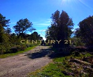 PARCELA colonia rio sur Puerto Varas