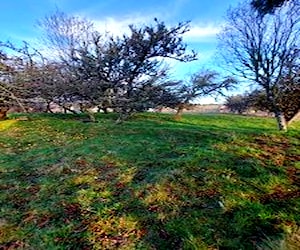 Sitio en ilque, calbuco x costa