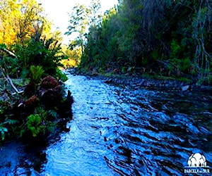 Parcela Sector Correntoso, Lago Chapo