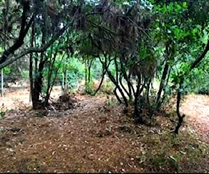 Parcela en Laguna de Flores (Yumbel Estación)