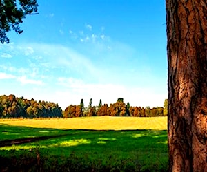 Parcelas agroecológ. Praderas Pedernal - Frutillar