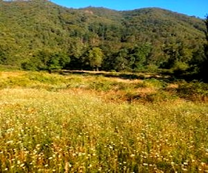 8mil mtrs2 en la Precordillera de Linares 