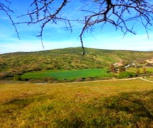 Precioso Campo de 4 hectáreas, Cercano a Melipilla