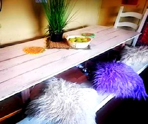 <p>Comedor plegable con dos Bancas largas y 2 sillas </p>