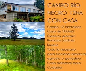 Campo 12HA Río Negro sector Ñacuan,Casa 500mt2