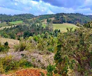 Terreno en tambor alto