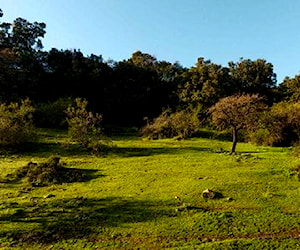 Parcelas a 2 min del centro de Litueche y 2 hrs de