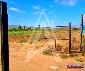 AgríCola LAS BARRANCAS Coquimbo