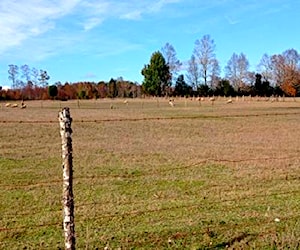 Parcela a orilla de camino sector 7ma faja