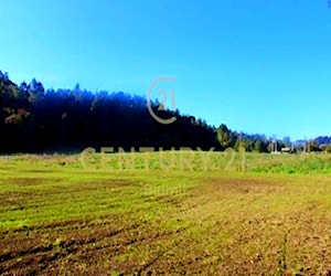 PARCELA bosques del maullin Puerto Varas