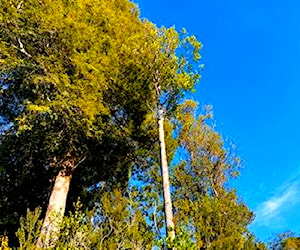 PARCELA Av. el Zorro Ensenada Puerto Varas