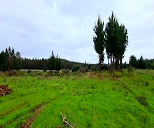 Terreno a orilla de carretera 