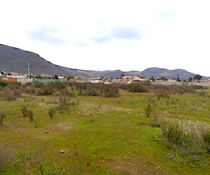Terreno en zona urbana, Rinconada El Sauce