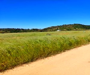 Terreno en Litueche