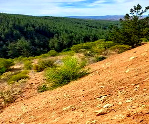 Terreno Espinillo, Pichilemu