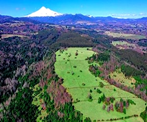 Terrenos Zona Llaima