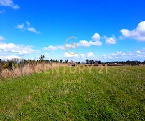 PARCELA Ruta v 50, Nueva Braunau Puerto Varas