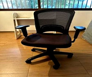 <p>Silla Ergonómica de Oficina - Buen Estado</p>