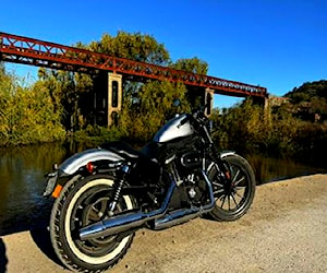 Harley Davidson Sportster Iron 883 año 2016